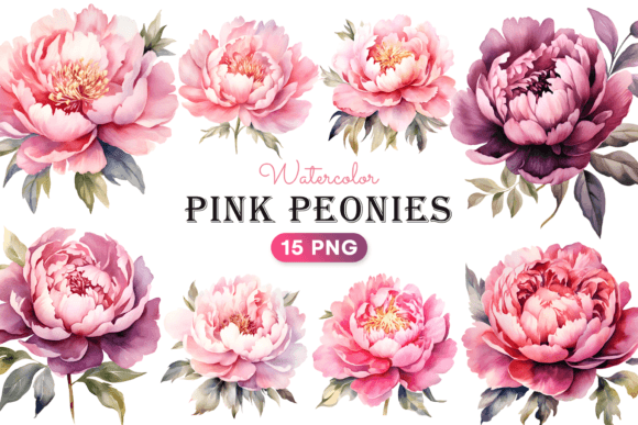 Download Watercolor Pink Peonies Flower Clipart - Peonies Collection