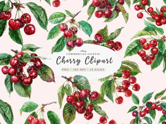 Download Cherry Fruit Clipart, Berries Cherry - Fruit clipart Collection