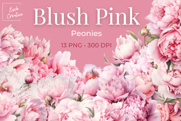 Download Blush Pink Peonies Watercolor Flowers - Peonies Collection