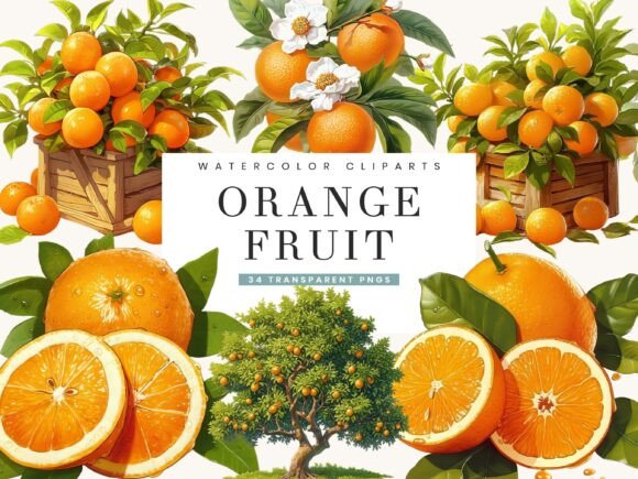 Download Watercolor Italy Orange Fruit Clipart - Fruit clipart Collection