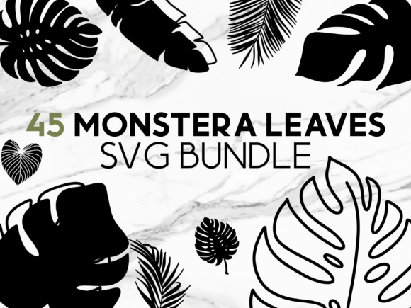 Download Monstera Leaves SVG Graphics - Leaves Collection