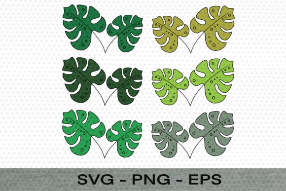Download Monstera Leaves Color&nbsp; - Leaves Collection
