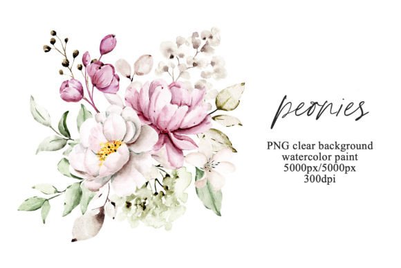 Download Pink Flowers Watercolor Peonies, PNG. - Peonies Collection
